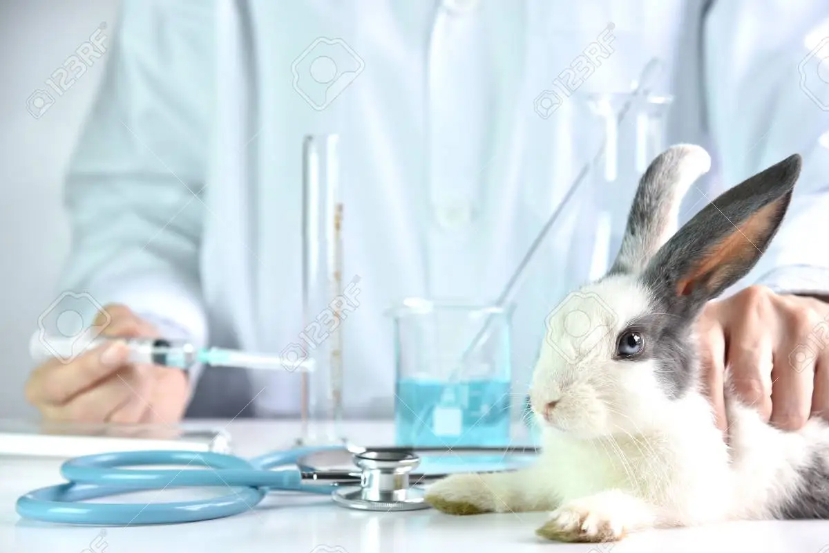 JUPITERTabletop Lab Animal Anesthesia Machine